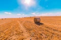 Hay bales landscape of yellow grass fields under blue sky with white clouds, agriculture and nature and relax, climate change Royalty Free Stock Photo