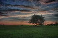 Hay bales and lonely tree on a meadow against beautiful sky with clouds in sunset Royalty Free Stock Photo