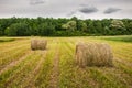Hay bales lying in the field, forest and cloudy sky Royalty Free Stock Photo