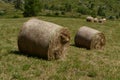 Hay bales in meadow Royalty Free Stock Photo