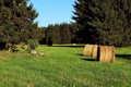 Hay bales in a meadow in late summer