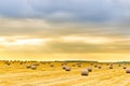 Hay bales on meadow Royalty Free Stock Photo