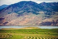 Hay bales in a meadow near Savona British Columbia Royalty Free Stock Photo