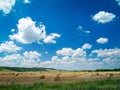 Hay bales on meadow