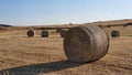 Hay bales on Mesaoria plains