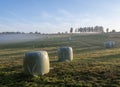 hay bales in misty early morning meadow between vielsalm and sankt vith in belgian ardennes Royalty Free Stock Photo