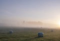 hay bales in misty early morning meadow between vielsalm and sankt vith in belgian ardennes Royalty Free Stock Photo