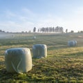 hay bales in misty early morning meadow between vielsalm and sankt vith in belgian ardennes Royalty Free Stock Photo