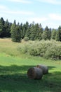 Hay bales in a meadow in mountain Royalty Free Stock Photo