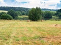 Hay bales on mowed meadow near river in summer Royalty Free Stock Photo