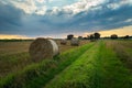 Hay bales next to a dirt path Royalty Free Stock Photo