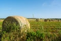 Hay Bales NO OGM in the Countryside near Rome on Clear Bly Sky Background in July. Italy Royalty Free Stock Photo