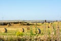 Hay Bales NO OGM in the Countryside near Rome on Clear Bly Sky Background in July. Italy Royalty Free Stock Photo