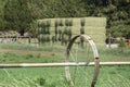 Baled hay after a harvest