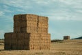 Hay bales piled up on field in a farm Royalty Free Stock Photo