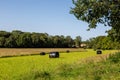 Hay bales with plastic protective covers, in a field in rural Sussex, with a blue sky overhead Royalty Free Stock Photo