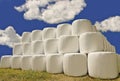 Hay Bales in Plastic Wrap Royalty Free Stock Photo