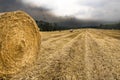 Hay bale ready, rain comes