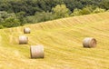 Hay bales rolled on farm field in Summer