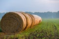 Hay bales rolls lying in a row on a grass field light fog bit misty with tree horizion Royalty Free Stock Photo