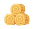 Hay bales in round rolls. Straw, dry gold grass stacks. Golden agriculture fodder, circle haystacks pile of yellow rape