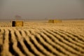 Hay Bales and rows