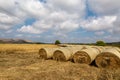 Hay bales in Rural Sussex on a summer\'s day