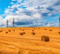 Hay bales. Scene with haystacks on the field. Beautiful landscape with stacked roll straw bales in end of summer