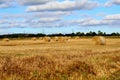 Hay bales in Scotland Royalty Free Stock Photo