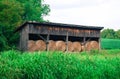 Hay bales stacked in a barn at the edge of a green field Royalty Free Stock Photo