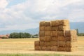 Hay bales stacked on a big pile Royalty Free Stock Photo