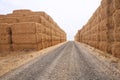 Hay bales stacked high Royalty Free Stock Photo