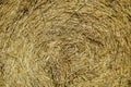 Hay bales, straw deposited on the field as fodder for cows, photographed