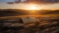 Hay bales at sunset, Madonie Park Royalty Free Stock Photo