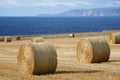 Hay bales in sunshine in Caithness, Scotland, UK Royalty Free Stock Photo
