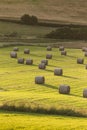 Hay bales on Speyside in the highlands of Scotland. Royalty Free Stock Photo