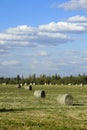 Hay bales under clouds Royalty Free Stock Photo