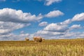 Hay bales under cloudy sky on harvested wheat field Royalty Free Stock Photo