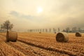 Hay bales in a wheat field Royalty Free Stock Photo