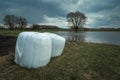 Hay bales in white foil in a meadow and cloudy sky Royalty Free Stock Photo