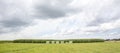 Hay bales wrapped in lime green plastic and stacked in a landscape with corn plants, a meadow and a blue sky with white clouds Royalty Free Stock Photo