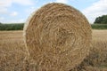 Hay ball / Straw ball with a sky Royalty Free Stock Photo