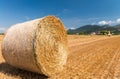 Hay ball in summer season Royalty Free Stock Photo