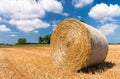 Hay ball in summer season Royalty Free Stock Photo