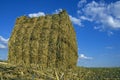 Hay ball from worms view Royalty Free Stock Photo