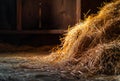 Hay in the barn rural scene. A pile of hay in the barn Royalty Free Stock Photo