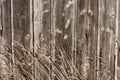 Hay,barnboards,background Royalty Free Stock Photo