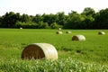 Hay Bundles Royalty Free Stock Photo