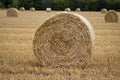 Hay bundles on a harvested field Royalty Free Stock Photo