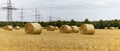 Hay bundles on a harvested field Royalty Free Stock Photo